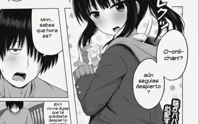 Manga porno sobre una relación incestuosa entre una hermana pequeña y su hermano mayor.